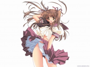 ���� ��������